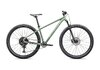 Specialized ROCKHOPPER COMP VN L - 29 PISTACHIO/WHITE MOUNTAINS